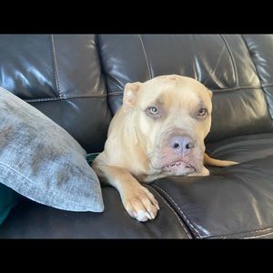 Meet your Posher, Mark